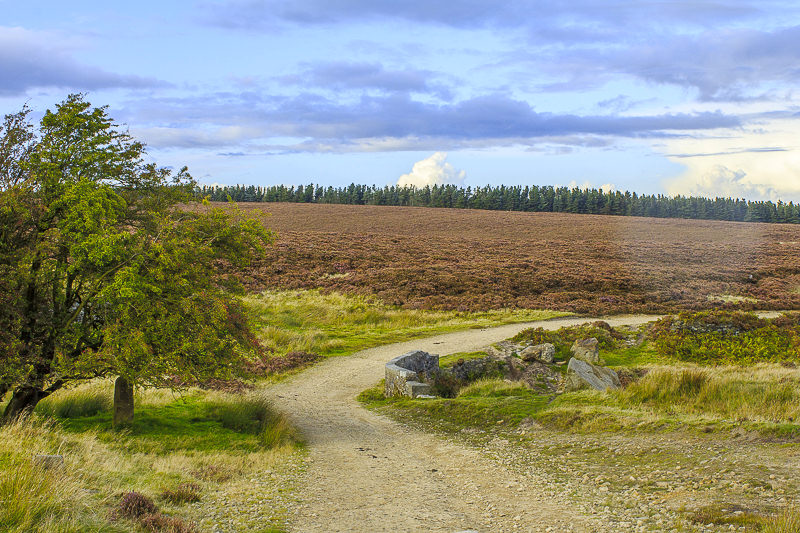 Houndkirk Road